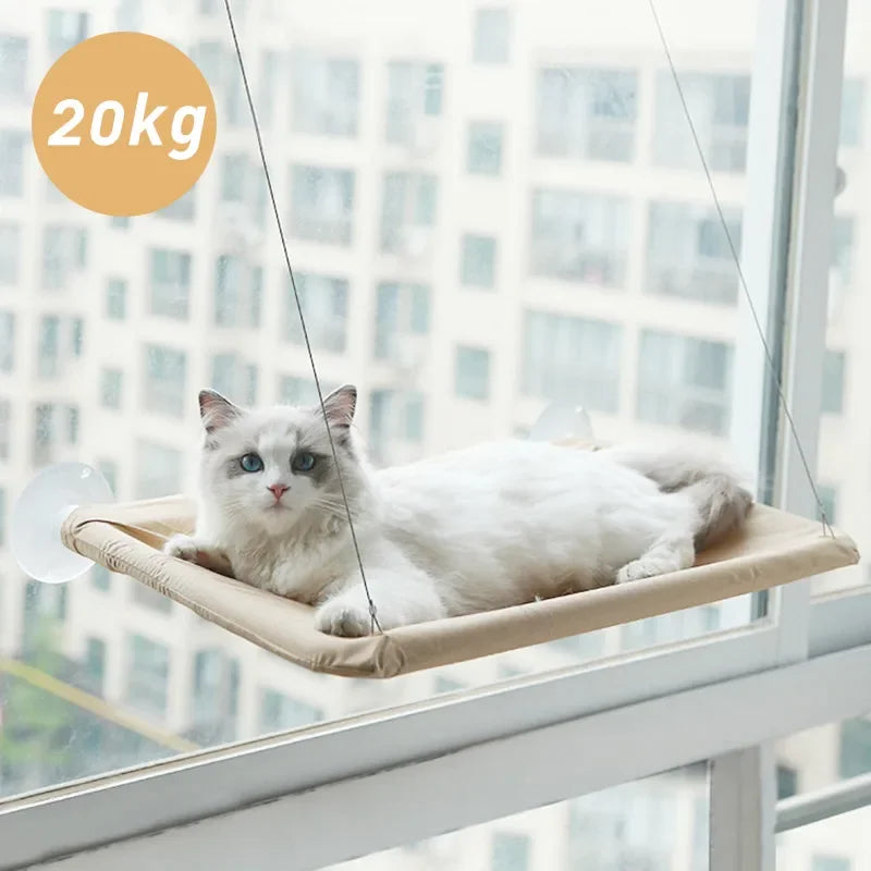 Cama Flutuante para Gatos